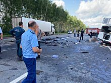 Восемь человек погибли в ДТП в Рязанской области