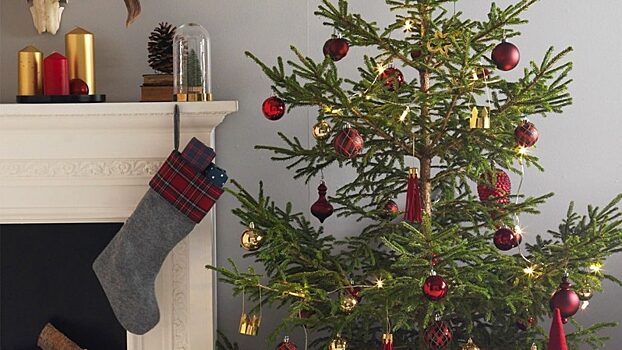 IKEA оставила канадцев без рождественских елок