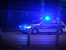 Cтанцевавшую «Калинку» в Мюнхене россиянку депортировали из ФРГ