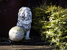 Коты, которых вы никогда не замечали: 13 мест в Калининграде, где можно увидеть необычные скульптуры