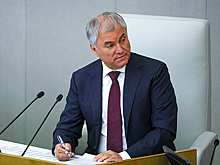 Володин напомнил о законах в защиту детей