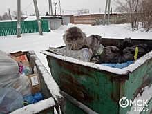 Омский суд отменил мусорный тариф для жителей частного сектора