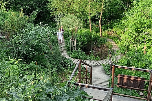 В Перми в долинах малых рек высадили дождевые сады