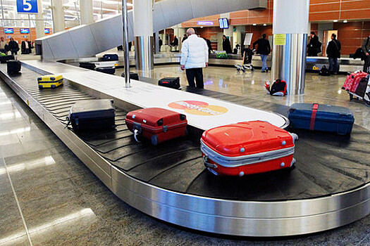 В Госдуме предложили ввести предельное время выдачи багажа в аэропортах