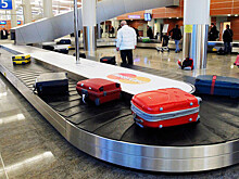 В Госдуме предложили ввести предельное время выдачи багажа в аэропортах