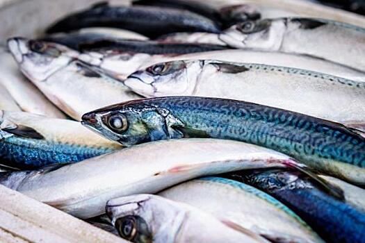 Несколько тонн опасной рыбы пытались незаконно ввезти в Алтайский край