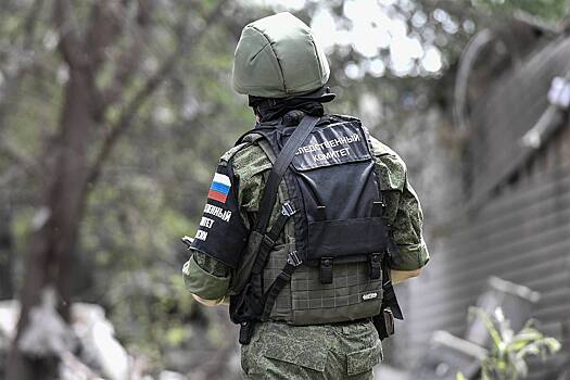 Уголовное дело возбуждено по факту убийства женщиной сожителя в ТиНАО