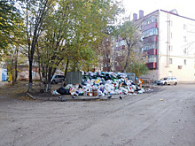 Напротив структуры мэрии Кургана контейнеры завалены горами мусора