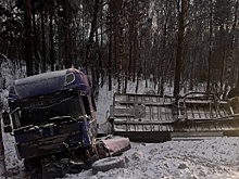 Стали известны подробности ДТП с тремя погибшими в Новосибирской области