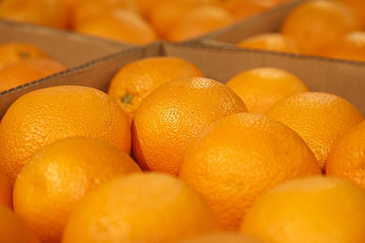 Как апельсины спасли Одессу