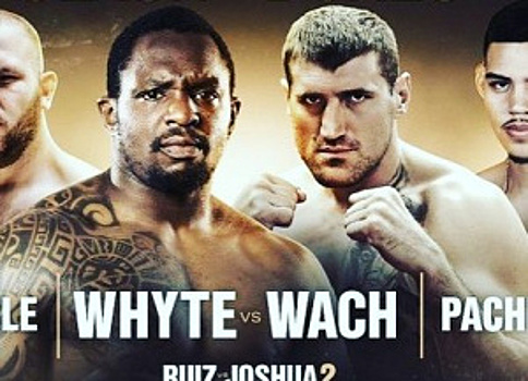 Видео боя: Диллиан Уайт — Мариуш Вах