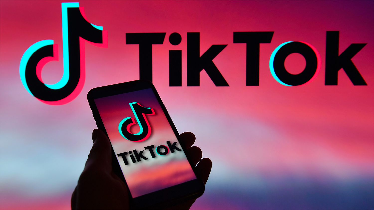 РБК: властям показали проекты российских аналогов TikTok и Instagram*