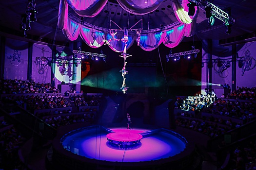 Сергей Шабанов судится из-за отстранения от руководства Новосибирским цирком