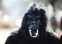 Драка «гориллы» с пьяным мужчиной в Нижневартовске попала на видео