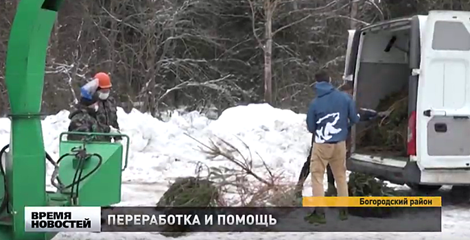Акция по утилизации елей завершилась в Нижегородской области