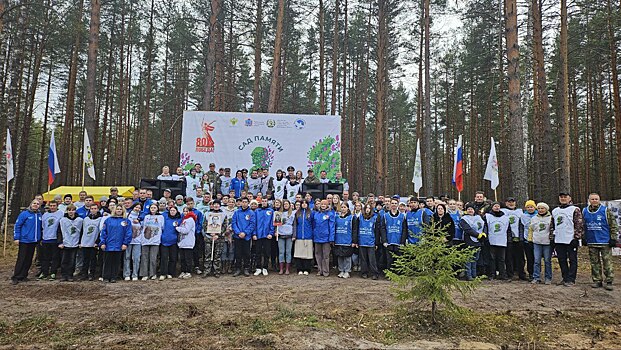 23 тысячи сосен в рамках акции «Сад памяти» высадили в Нижнем Новгороде