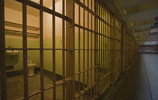 Сына депутата Госдумы приговорили к 27 годам тюрьмы в США