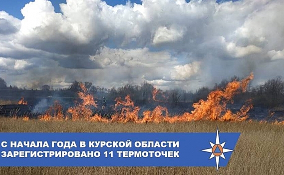 В Курской области зафиксировали первые случаи горения сухой травы