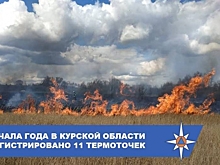 В Курской области зафиксировали первые случаи горения сухой травы