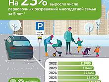 Максим Ликсутов: 138 тыс. многодетных семей в Москве паркуются бесплатно