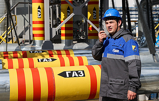 Эксперт рассказала, какие выгоды сулит РФ и Китаю запуск "Силы Сибири - 2"