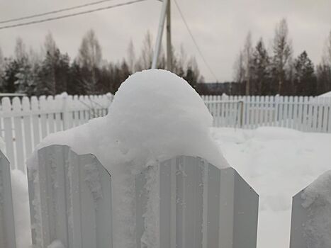 Морозы до -14º, снег и ветер ожидаются в Волгоградской области 10 января