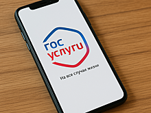 Госуслуги будут предупреждать о попытке оформления лже-кредита