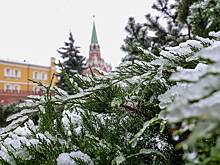Москвичам рассказали, ждать ли снега на Новый год в столице
