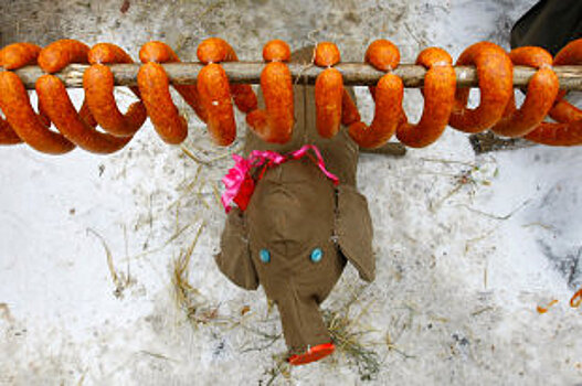 В Омской области решили избавиться от диких кабанов