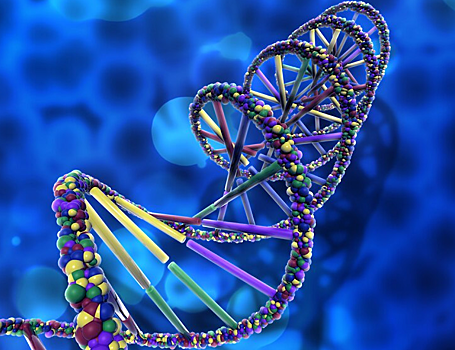 Мутации генов AURKB и PPP1R15A замедляют развитие рака