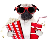 Концерты модных групп, фильмы must-see и не только: самые впечатляющие события сентября