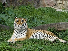 В Щукине покажут фильм о Забайкальском крае