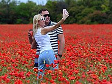 Буйство красок: крымские места для фотосессий в цветущих полях