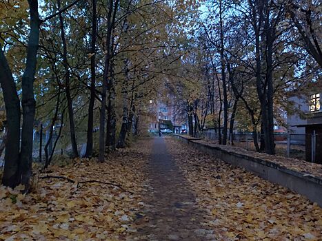 Врач назвала главные причины осеннего спада продуктивности