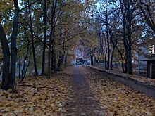 Врач назвала главные причины осеннего спада продуктивности