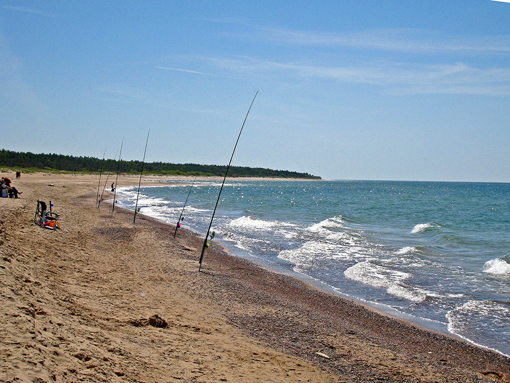 Павилоста, Кулдига, Латвия, Европа