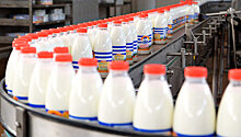 На Рубцовском молзаводе запущена линия переработки молочной сыворотки