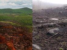 Чертово кладбище на границе Иркутской области и Красноярского края. Реально ли оно?