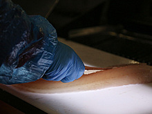 Названо лучшее филе трески