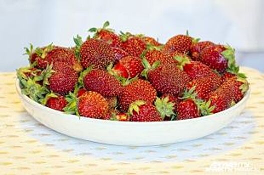 В Петербурге продается опасная для здоровья клубника