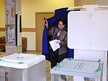 «Зеленые» отозвали своего кандидата с выборов в Мособлдуму по Домодедовскому округу
