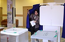 «Зеленые» отозвали своего кандидата с выборов в Мособлдуму по Домодедовскому округу