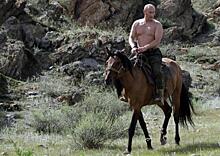 Путин прокомментировал свои фото верхом на медведе