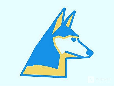 Двух чиновников задержали в Арзамасе из-за наркотиков в машине