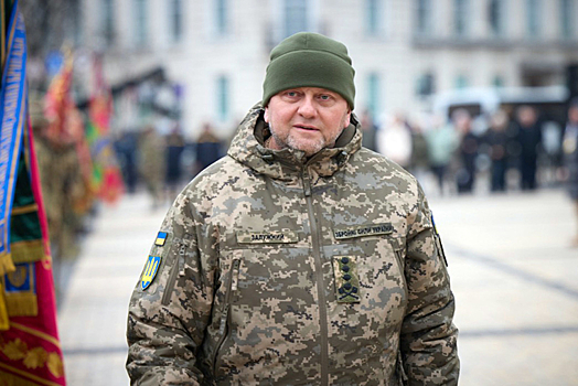 Экс-депутат Рады Береза: главкома ВСУ Залужного уволили