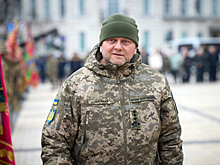 Экс-депутат Рады Береза: главкома ВСУ Залужного уволили