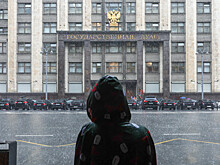 В Госдуме назвали размер новой семейной налоговой выплаты