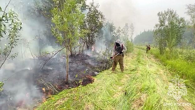 Последствия пожаров: в Якутии выгорело 7 млн гектаров леса