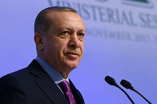 Эрдоган допускает проведение беседы с Асадом по вопросу сирийских курдов