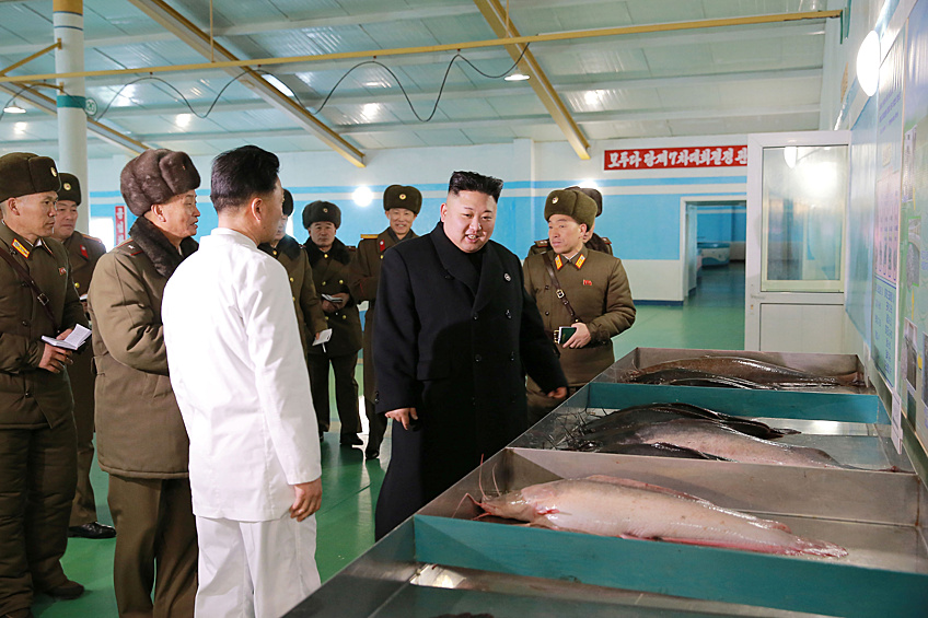 Ким Чен Ын заявил об успехах рыбного хозяйства и поручил "шире использовать компьютерную информацию о современных и интенсивных методах выращивания рыбы